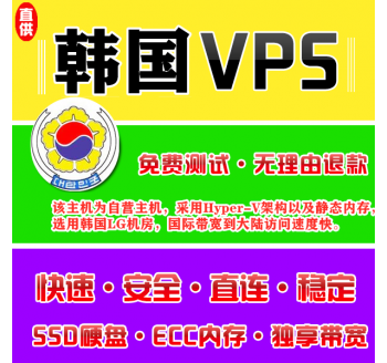 韩国VPS推荐8912M购买，seo快速排行榜